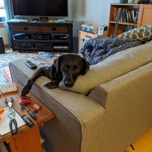 Meet your Posher, Caleb